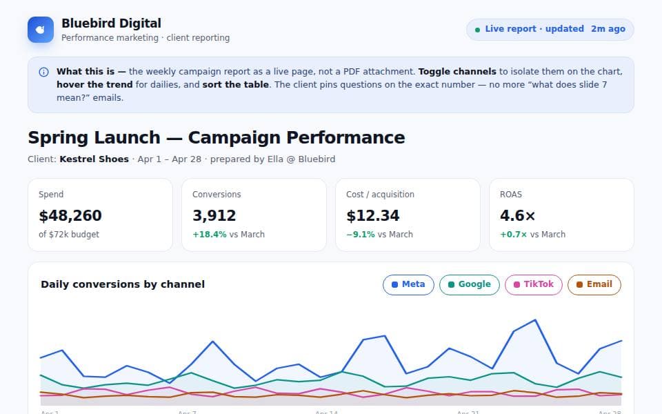Bluebird Digital — Spring Launch — Campaign Performance